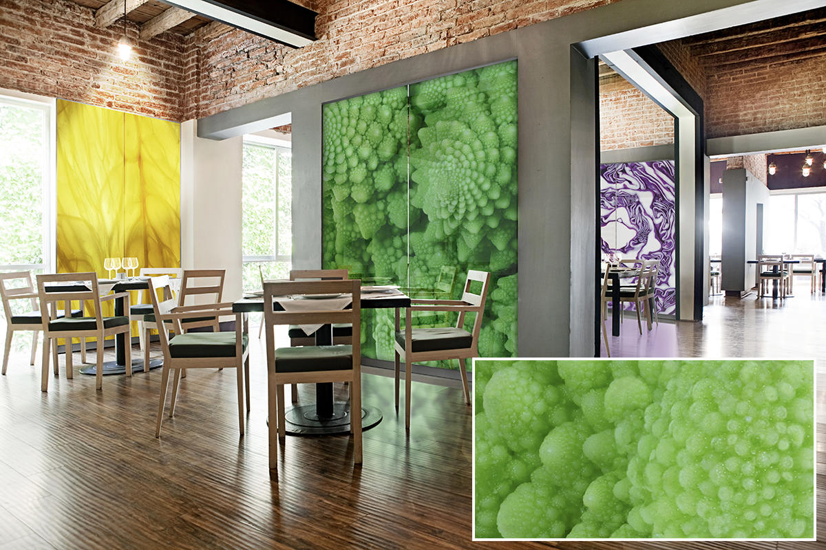 FSRT374 Зум-стекло Vivispectra с прослойкой из зебра-камня Forms-surfaces  - Вид №12