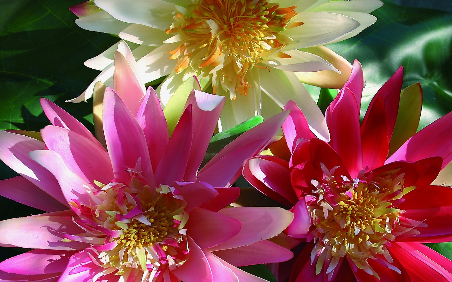 3896 515 a2 Кувшинка пластиковая, плавающая, Ø 21 см, розовая H-andreas  - Вид №1