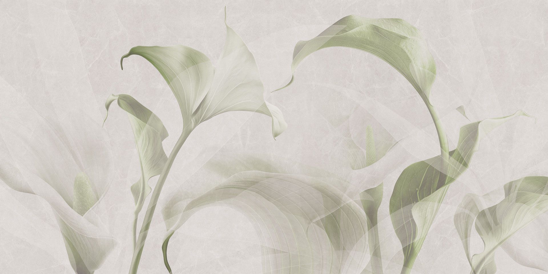 Панорамные обои Rimura 2024 ARCH-00055839 - Вид №5