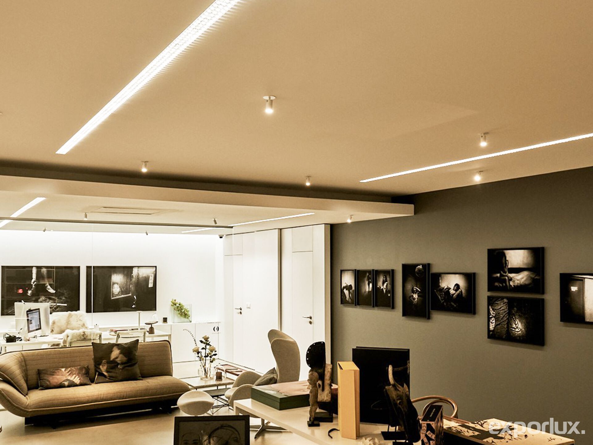 Регулируемый алюминиевый светодиодный прожектор Exporlux WHEEL TE SM ARCH-00010339 - Вид №1