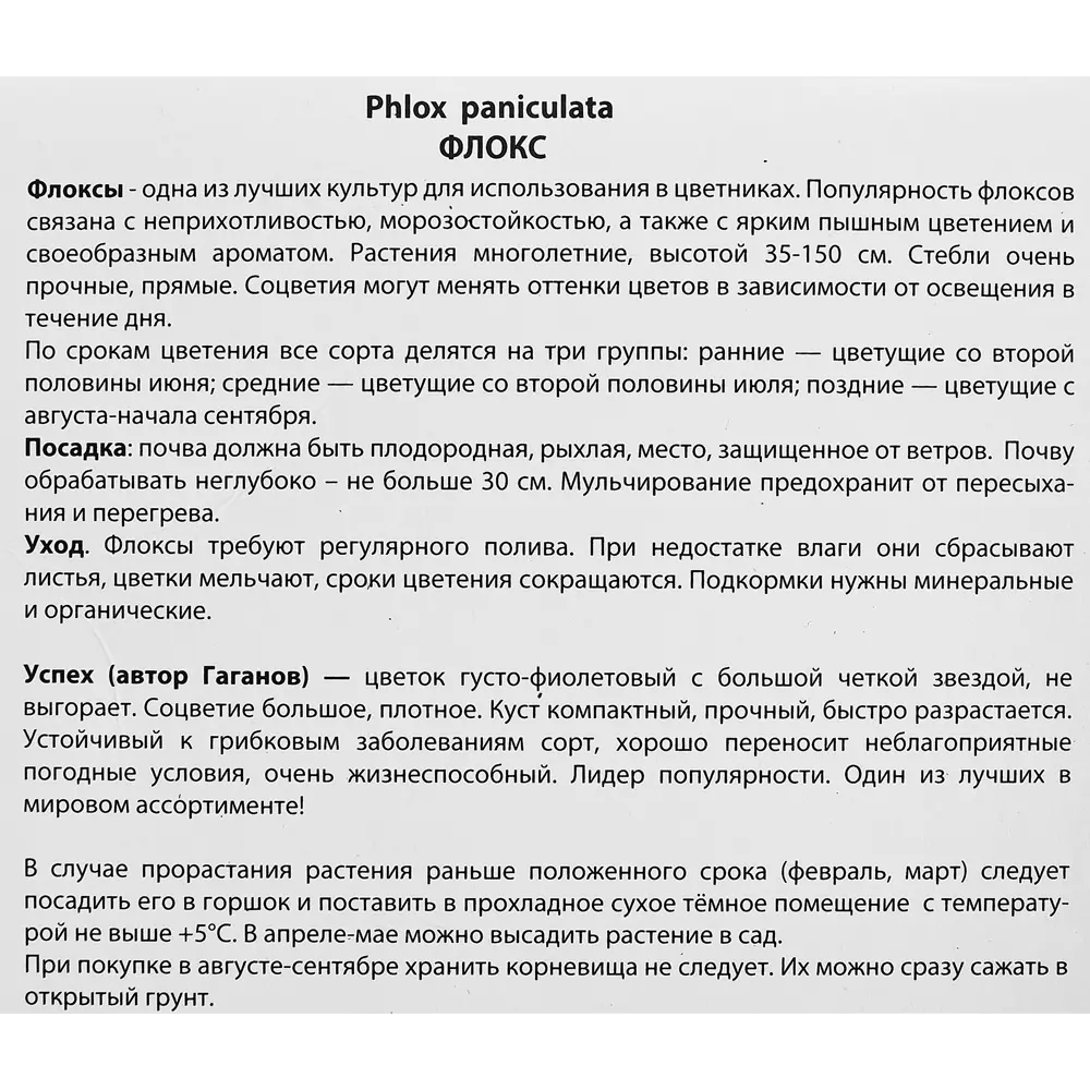 Флокс метельчатый Успех 89351892 STLM-2095572 ПОИСК  - Вид №2