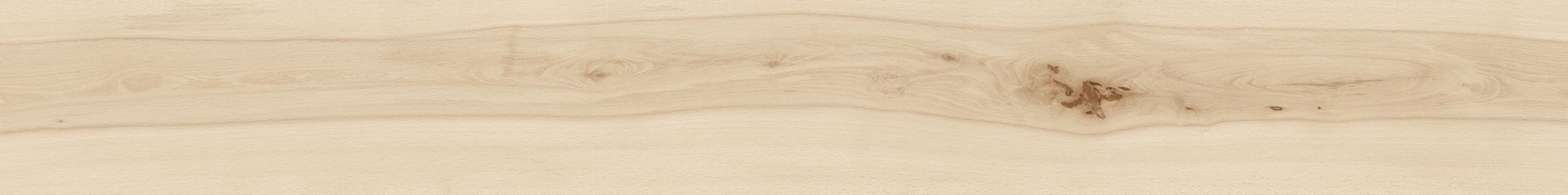 Напольное покрытие из керамогранита под дерево Atlas Concorde Log Cansei ARCH-00109512 - Вид №6