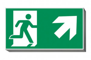 DST-557 Lisu Daisalux Светильники аварийные Металлический Серый