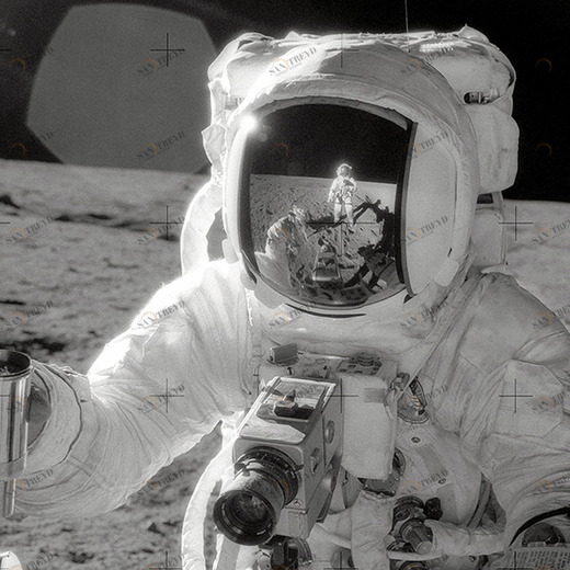 C1-329 Фотообои DIVINO Collection C 1.47х2 м C1329