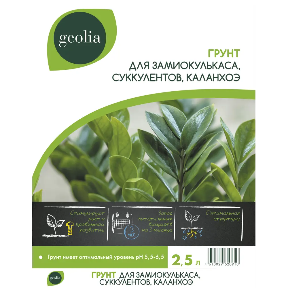 Грунт Geolia для замиокулькаса, суккулентов, каланхоэ 2,5л 85473684 STLM-2129283 