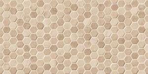 Termae Concept Beige 25х50