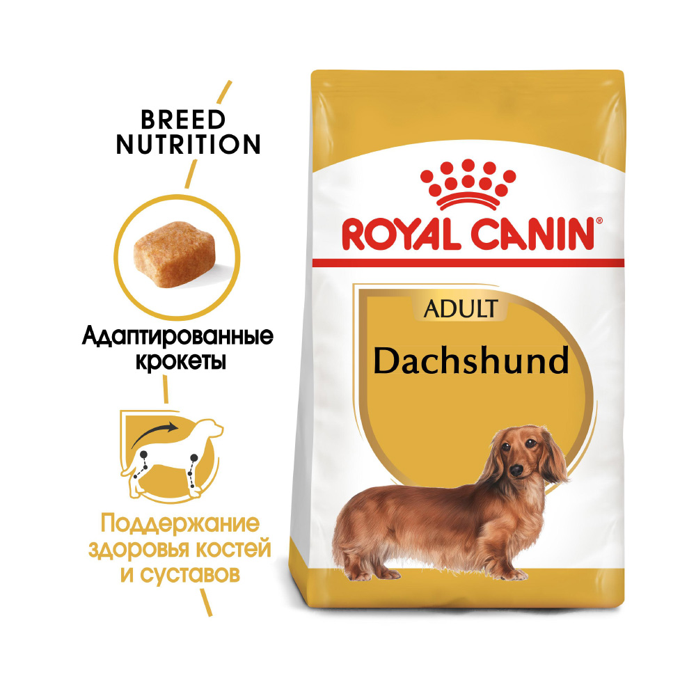 Т00008704 Корм для собак Dachshund 28 для породы Такса старше 10 месяцев сух. 1,5кг ROYAL CANIN  - Вид №1