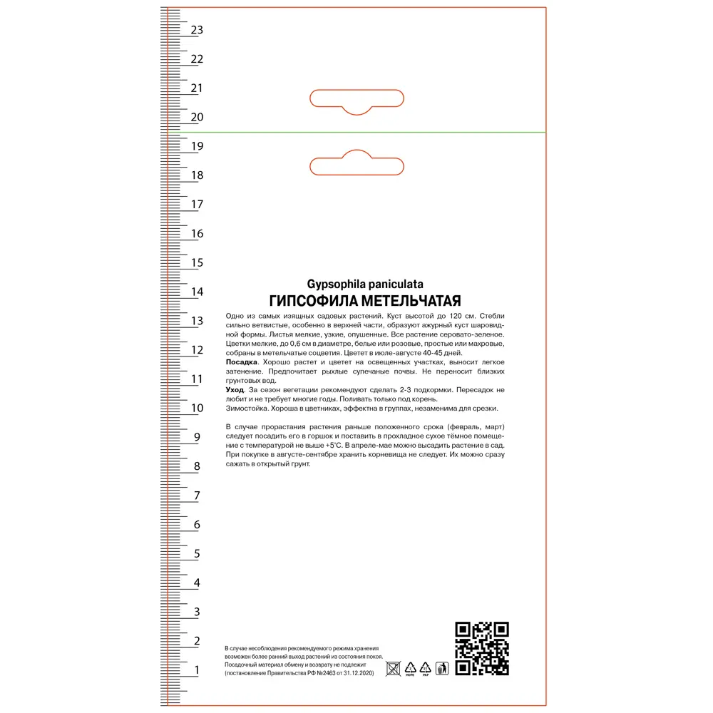 Гипсофила метельчатая, 3 шт ПОИСК STLM-2067617 - Вид №1