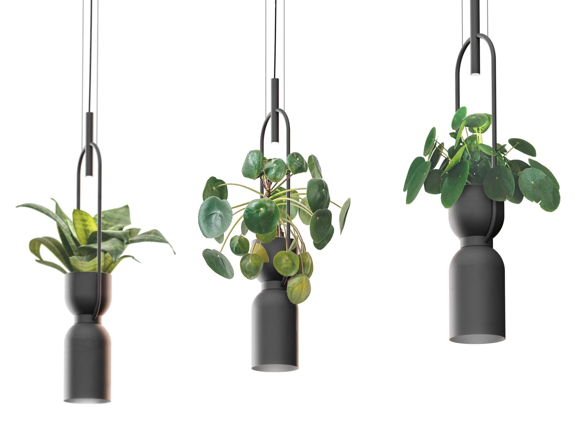 Металлический подвесной светильник luxcambra OXYGEN C ARCH-00049528 - Вид №1