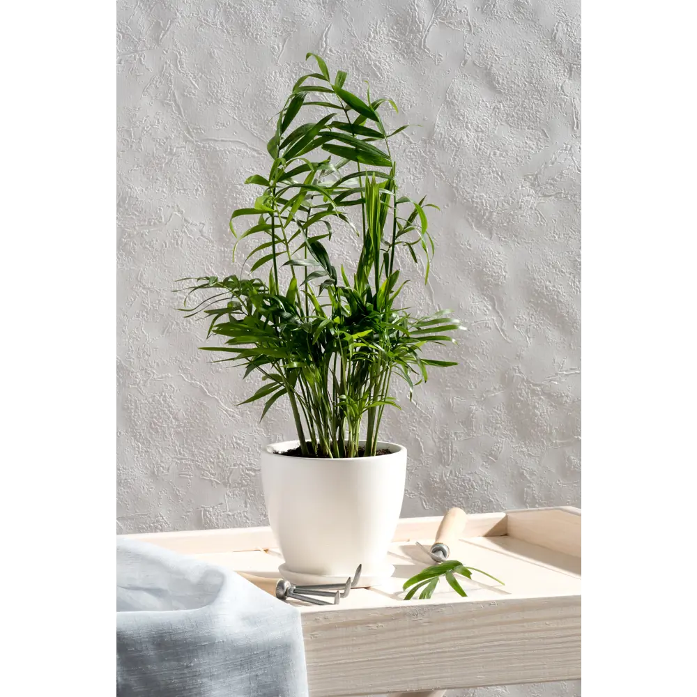 Керамический горшок Santreyd «Колор Гейм» с поддоном для комнатных растений 18875526 STLM-0013330 - Вид №3