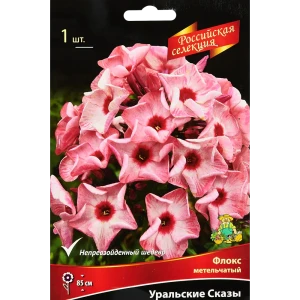 Флокс метельчатый Уральские сказы