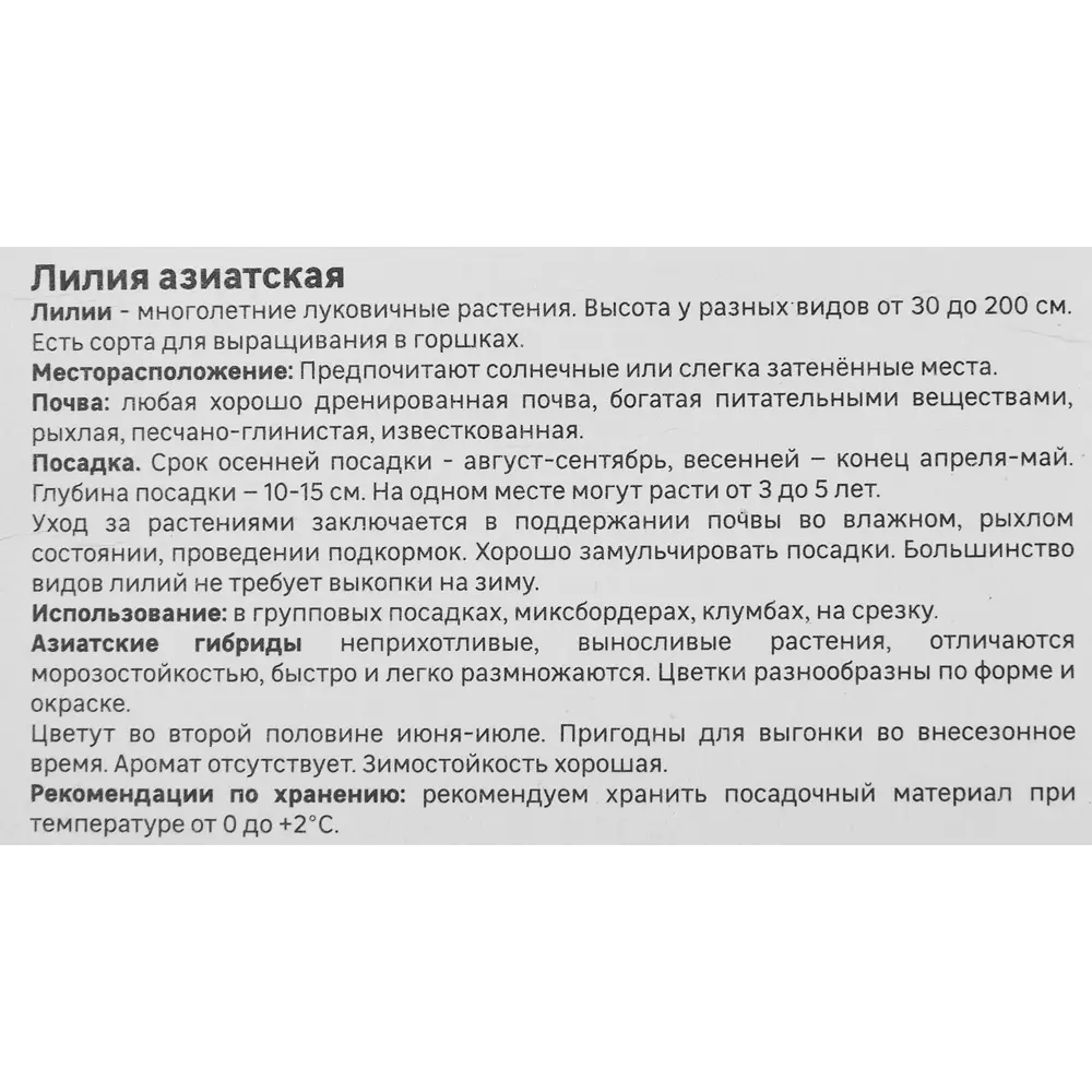 Лилия Geolia азиатская Бернинг Джой 86408616 STLM-2059439  - Вид №3