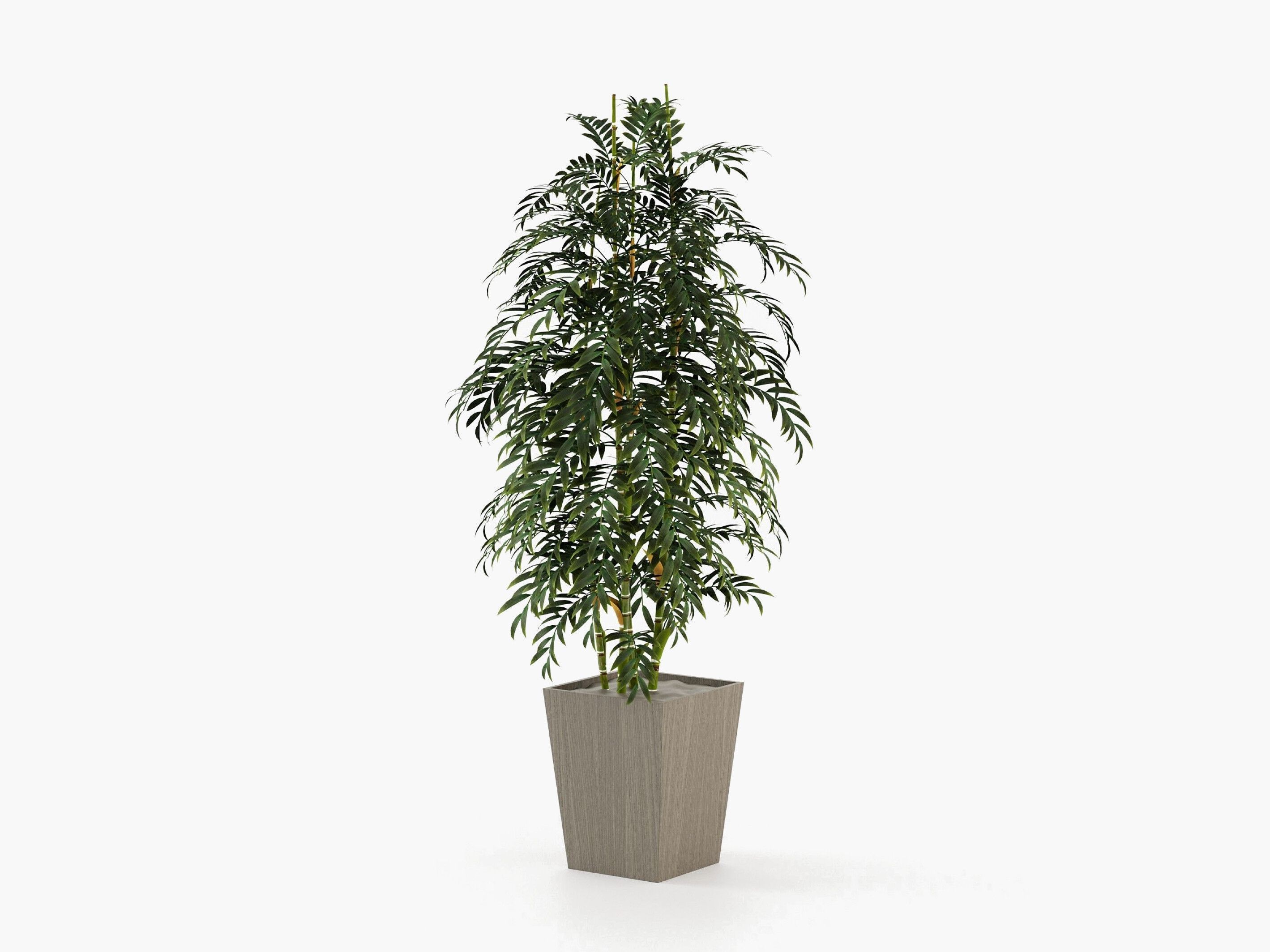 Деревянная ВАЗа Laskasas POPPY ARCH-00028493 - Вид №5