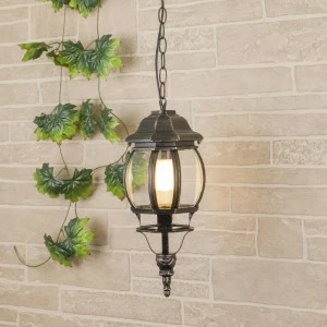 Уличный подвесной светильник Elektrostandard GL 1001H 4690389076022 ELEKTROSTANDARD GL 1001H 273352 Прозрачный