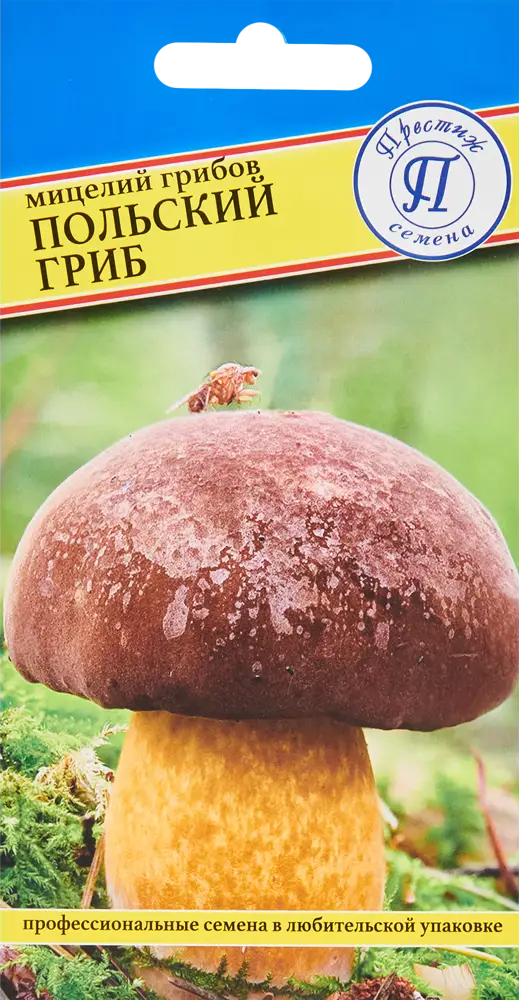 86236830 Мицелий грибов гриб Польский STLM-0958950