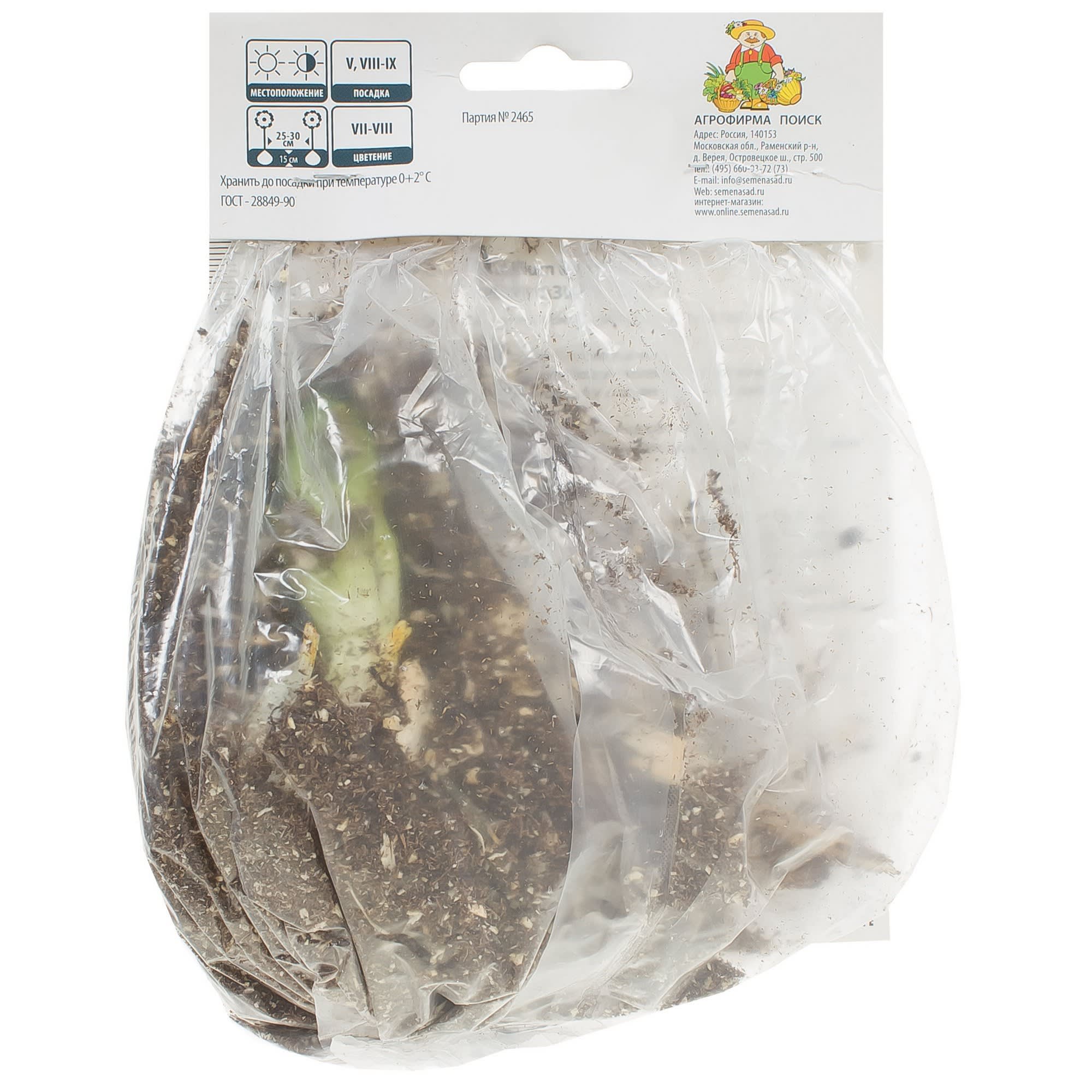 81945455 Лилия азиатская Танго «Изи Данс» Santreyd  - Вид №1