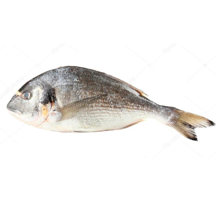 Дорадо охлажденный ~400 г Santreyd 11775 - Вид №1