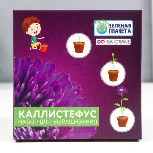 90694971 Набор для выращивания с глиняным горшочком Каллистефус китайский STLM-0341626 SIMALAND