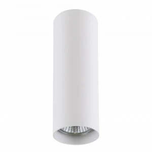 Потолочный светильник Lightstar Rullo 214496 LIGHTSTAR RULLO 103429 Белый