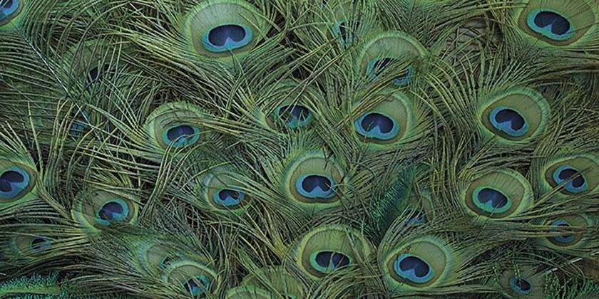 Creativespace Моющиеся обои Bio-spring - capsule 2019 sun-id-1427194 - Вид №1