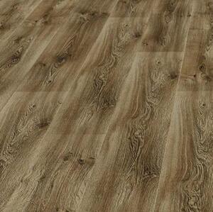 Ламинат Maestro Club Дуб Стори SU 01