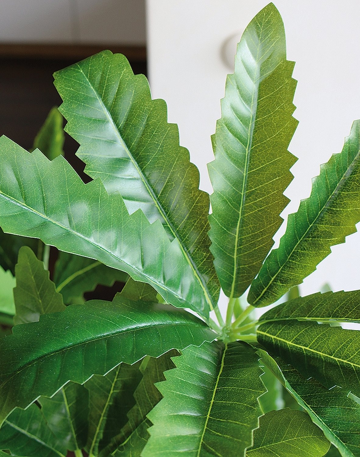 5480 883 a3 Искусственная шефлера, горшок, 100 см, зеленый H-andreas  - Вид №4