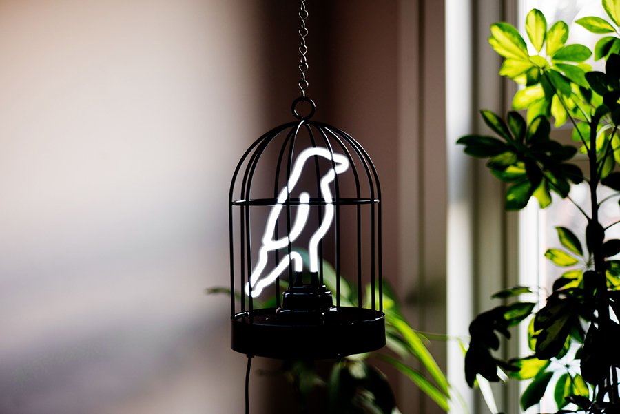Лампа настольная неоновая с подвесом 25,5х16 см черная Bird in a Cage SK NEONBIRD1 SUCK UK  00-3880793 Черный  - Вид №4