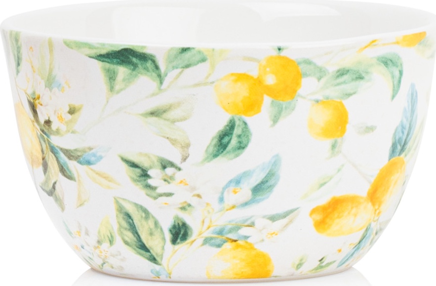 10654342 Certified International Набор салатников индивидуальных Certified Int. Лимоны 13см, керамика, 2шт Керамика 