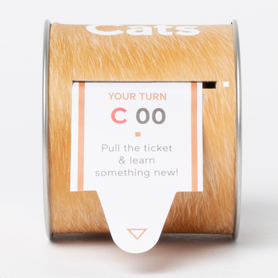 DYNEWCAEN Набор «Узнай что-то новое о кошках» Doiy  - Вид №4