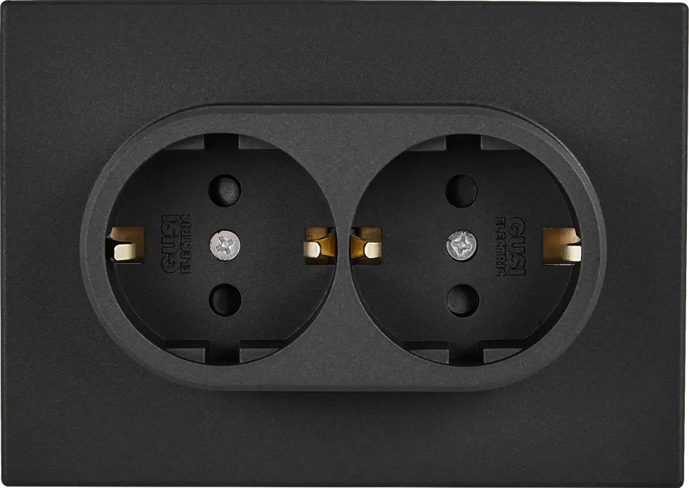 Розетка встраиваемая GUSI Electric графит с защитными шторками 89337219
