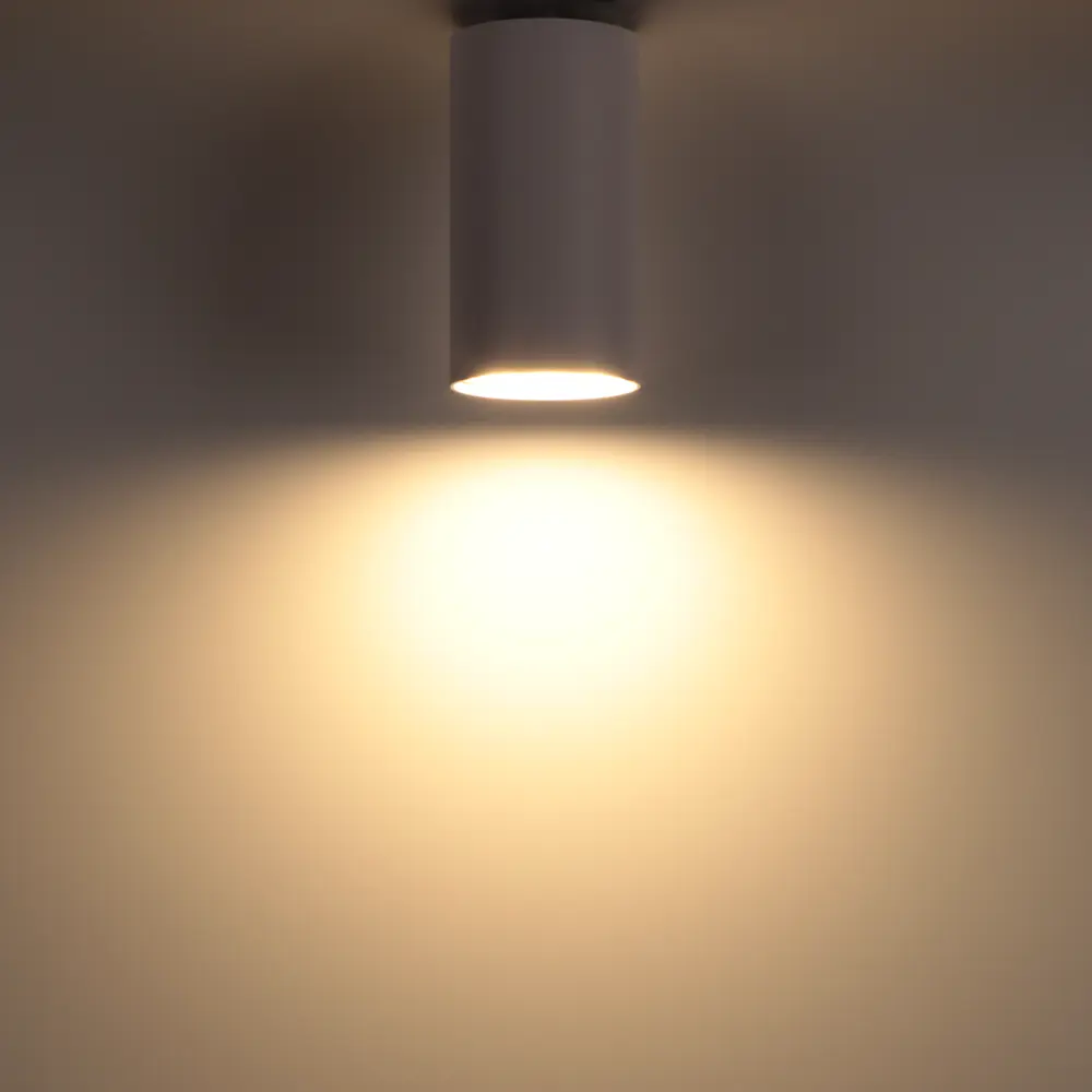 RITTER Arton 59950 — компактный накладной светильник для локального освещения 83978830 STLM-0045683 - Вид №1