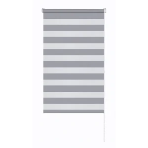 Рулонная штора день-ночь MIAMOZA Петер 120x175 см серая 89411356