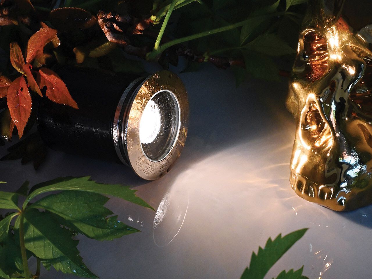 Светодиодные карты проезжей части Flexalighting NEXUS 6 ARCH-00142860 - Вид №1