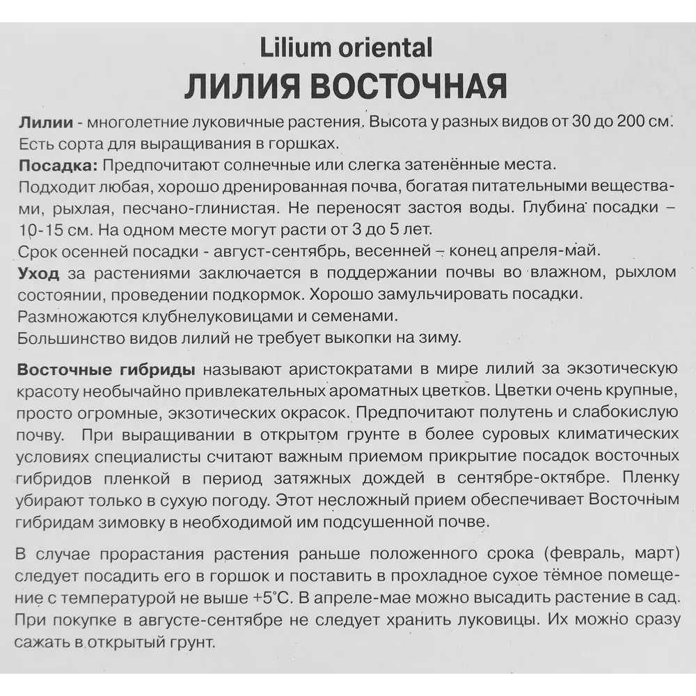 Лилия восточная Фри Чойс 85205760 STLM-2042955 ПОИСК  - Вид №2