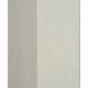 Рулон обоев RIVERSIDE 2 RRS26201224. Основа нетканый винил