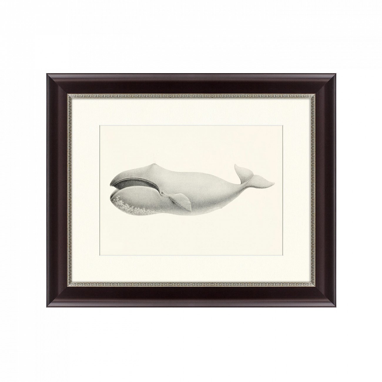Картина: Bowhead whale (Balaena mysticetus), 1856 КАРТИНЫ В КВАРТИРУ  191742 Разноцветный  - Вид №1