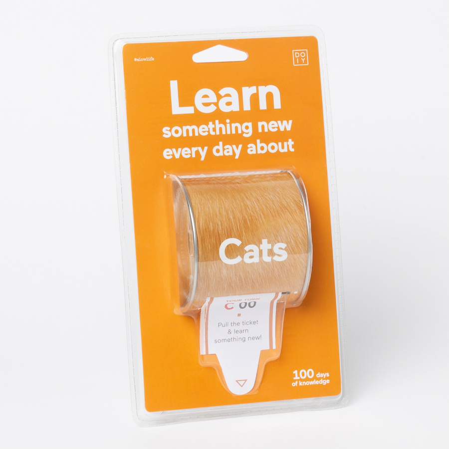DYNEWCAEN Набор «Узнай что-то новое о кошках» Doiy  - Вид №5