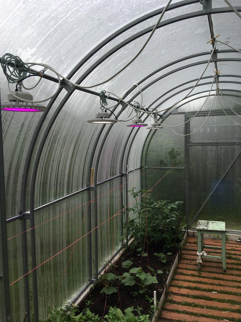 1311 Фитолампа UFO SMD 50 Watt LAB.Space  - Вид №17