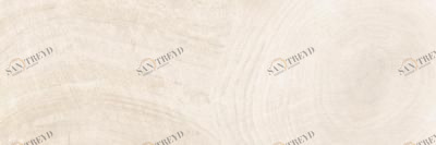 6011/SLR/200x600x10/S1 Time Ring св-бежевый Kerranova К6011SLR