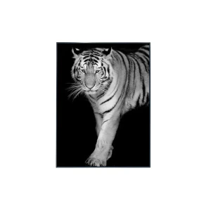 91336299 Картина в раме Alumoart "Tigers" 015.004R, 76x56 см, крепление через профиль STLM-0825698
