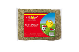 16256100 Семена газона SPORT MEISTER GRAS 0.3 кг 211046 ГазонCity