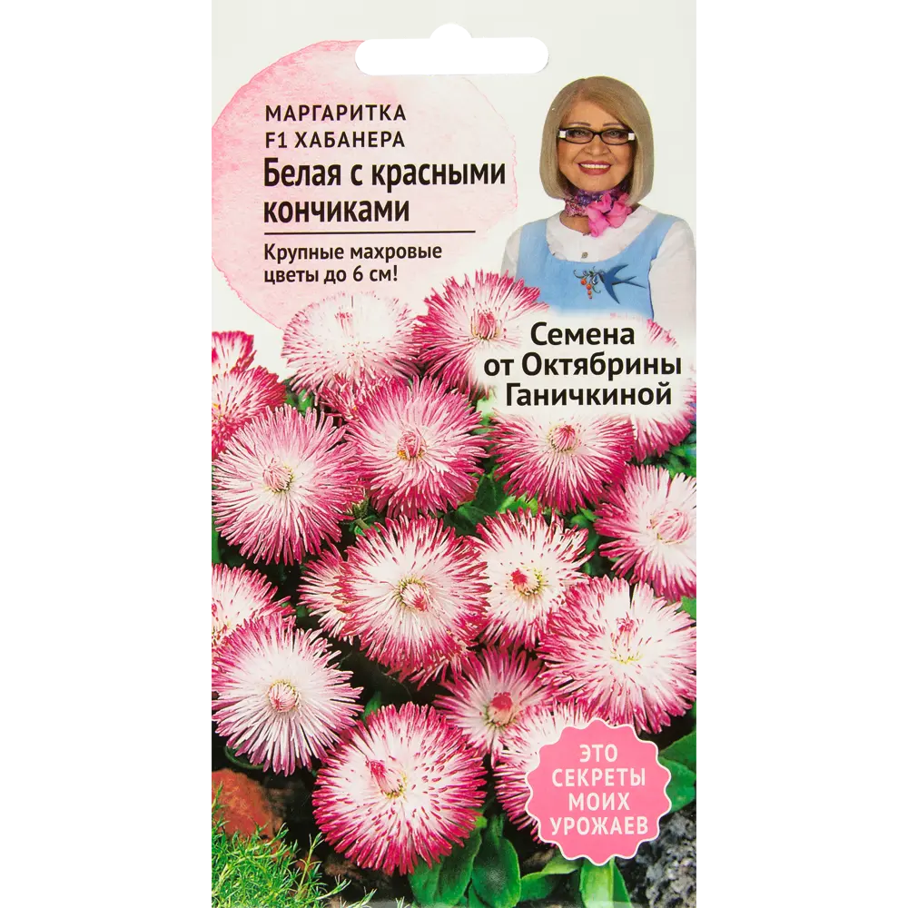 Маргаритка «Хабанера» белая с красными кончиками F1 СЕМЕНА ОТ ОКТЯБРИНЫ ГАНИЧКИНОЙ STLM-2194816