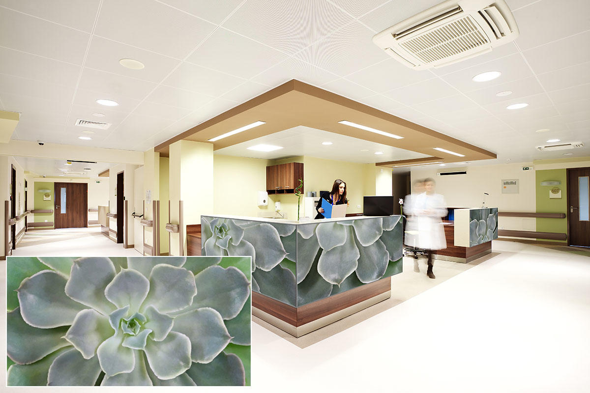 FSRT387 Зум-стекло Vivispectra с прослойкой из плетеной травы  Forms-surfaces  - Вид №14