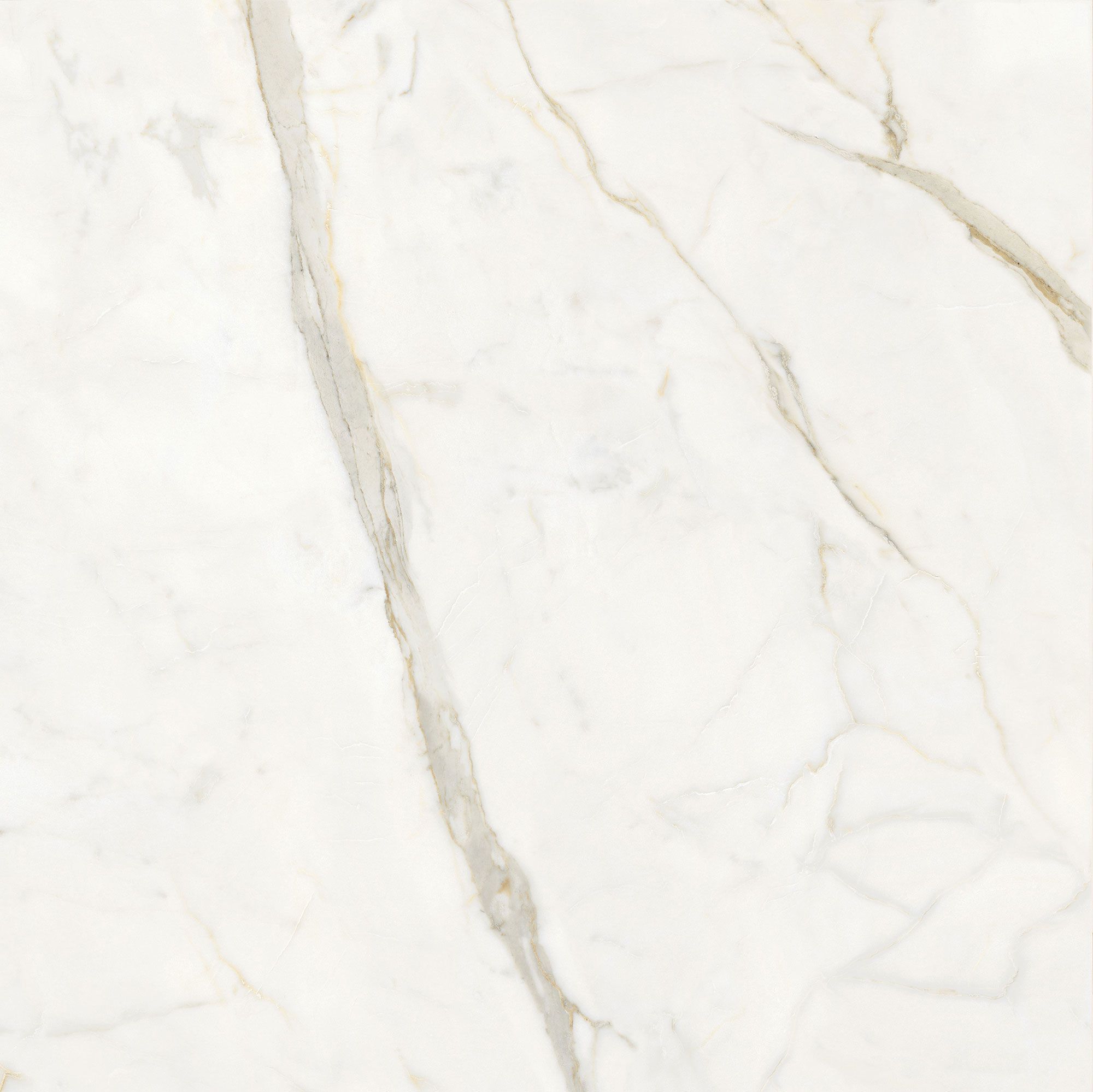 Пол / керамогранит с мраморным эффектом Italgraniti Marble Touch ARCH-00152884 - Вид №24