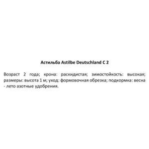 Астильба Дойчланд ø15 h40 см 84832020 STLM-2159347
