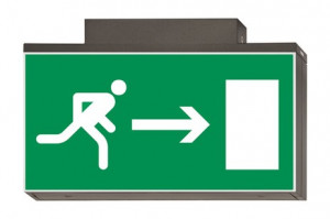 DST-2773 Lisu ceiling-mounted Daisalux Светильники сигнальные Металлический Серый