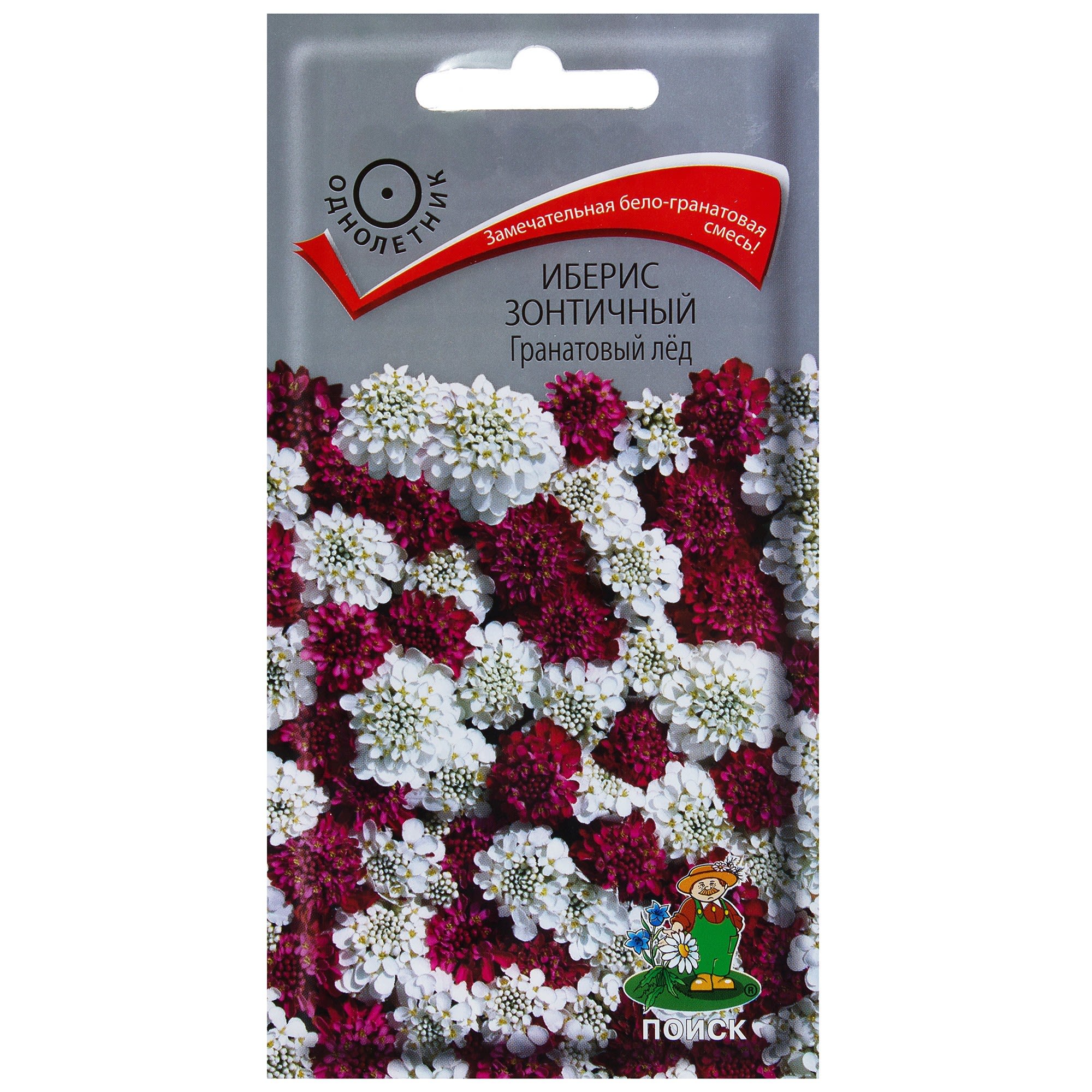 17229637 Иберис зонтичный «Гранатовый лед» Santreyd 