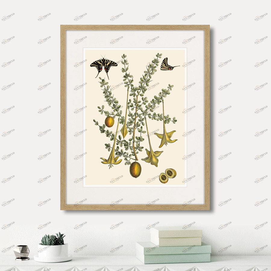 Картина: Juicy fruit lithography №1, 1870г. КАРТИНЫ В КВАРТИРУ  264440 Разноцветный 