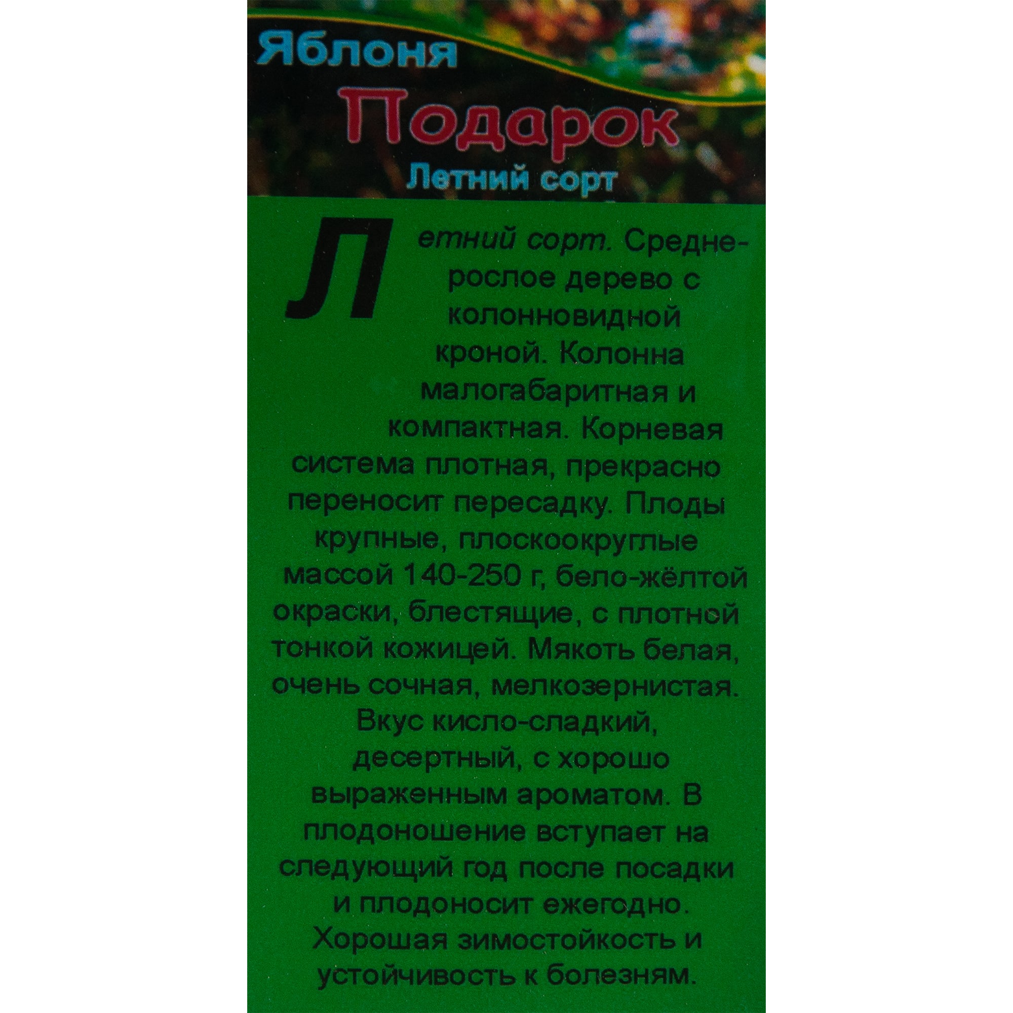 82601702 Яблоня домашняя «Подарок» 3-5 л высота 100-180 см Santreyd  - Вид №1
