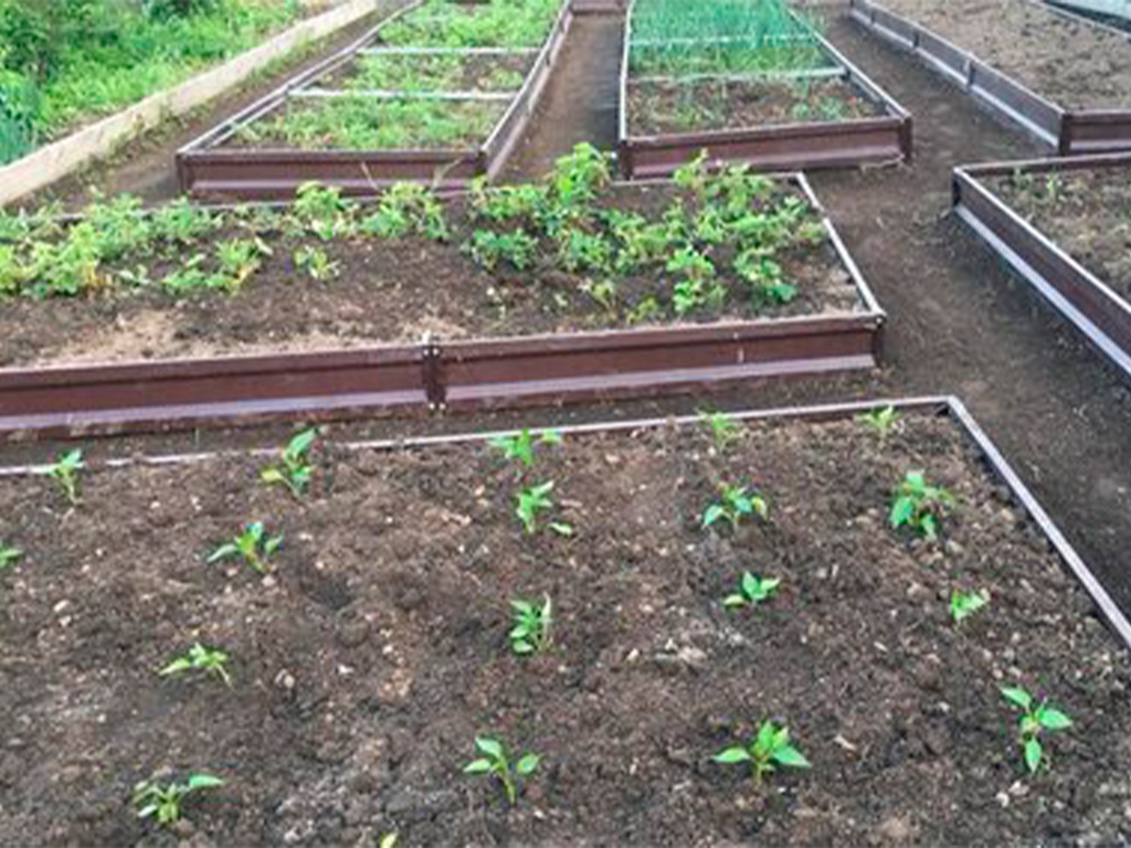 Грядка 1*3м, высота 15 см,цвет шоколадно-коричневый ГеоПластБорд GPBST-127 - Вид №3